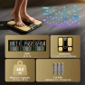 Превью Professional Smart Scale for Body Weight, BMI, Body Fat, Muscle Mass, Highly Accurate 25 Body Composition Weighing... — Smart Scale, LVPIMAN