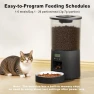 Превью Automated Cat Feeder with Single Bowl — Automatic Pet Feeder, Miaosical