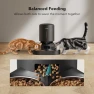 Превью Automatic Pet Feeder with Camera for Two Pets — Automatic Pet Feeder, PETLIBRO