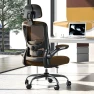 Превью Ergonomic Office Chair — Smart Chairs, Zeonsit