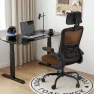 Превью Ergonomic Office Chair — Smart Chairs, Zeonsit