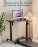 Превью Height Adjustable Electric Standing Desk — Standing Desk, Xyndyx