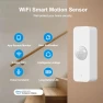 Превью Motion Sensor — Motion Sensor, ORIKLON