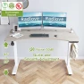 Превью Electric Standing Desk — Standing Desk, Radlove