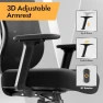 Превью Ergonomic Mesh Office Chair with 3D Adjustable Lumbar Support and 3D Armrests — Smart Chairs, HOLLUDLE