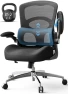 Превью Ergonomic Office Chair with Adjustable Lumbar Support — Smart Chairs, FAMIDOLE
