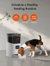 Превью Automatic Pet Feeder — Automatic Pet Feeder, WOPET