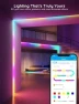 Превью RGBIC Alexa LED Strip Light — LED Strip Lights, Govee