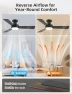 Превью RGB Ceiling Fan with Light — Smart Fan, Homlit