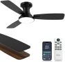 Превью RGB Ceiling Fan with Light — Smart Fan, Homlit
