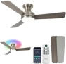 Превью RGB Ceiling Fan with Light — Smart Fan, Homlit