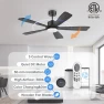 Превью Smart Ceiling Fan with Lights — Smart Fan, GentleBreeze