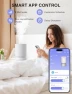 Превью Smart Cool Mist Humidifier with Essential Oil Diffuser — Humidifier, CLEVAST
