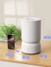 Превью Smart Cool Mist Humidifier with Essential Oil Diffuser — Humidifier, CLEVAST