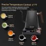 Превью Gooseneck Electric Kettle with Temperature Control — Electric Kettle, SMANGPER
