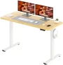 Превью Dual Motor Standing Desk — Standing Desk, FitStand