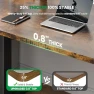 Превью Electric Standing Desk Adjustable — Standing Desk, SIAGO