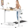 Превью Electric Standing Desk Adjustable — Standing Desk, SIAGO