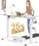 Превью Electric Standing Desk Adjustable — Standing Desk, SIAGO
