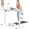 Превью Electric Standing Desk Adjustable — Standing Desk, SIAGO