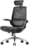 Превью Ergonomic Office Chair with 3D Flip-up Armrests and Dual Back Design — Smart Chairs, SIHOO