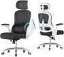 Превью Ergonomic Office Chair with Back Support — Smart Chairs, Veratric