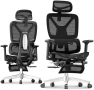 Превью Premium Ergonomic Office Chair with Footrest — Smart Chairs, FLEXISPOT