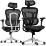 Превью Premium Ergonomic Office Chair with Footrest — Smart Chairs, FLEXISPOT