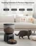 Превью Automatic Pet Feeder — Automatic Pet Feeder, Sarpaws