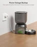 Превью Automatic Pet Feeder — Automatic Pet Feeder, Sarpaws