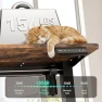 Превью Electric Standing Desk Adjustable Height, Ergonomic Sit Stand Computer Desk — Standing Desk, VVENACE