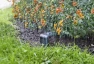 Превью Intelligent Soil Moisture Meter — Soil Moisture Sensor, Gardena