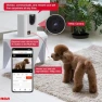 Превью Smart Camera Treat Dispenser — Automatic Pet Feeder, RCA
