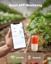 Превью Wireless WiFi Moisture and Temperature Soil Meter — Soil Moisture Sensor, Lumary