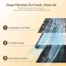 Превью Pet Air Purifier for Large Rooms — Air Purifier, KEN BROWN