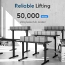 Превью Electric Height Adjustable Standing Desk — Standing Desk, Monomi