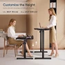 Превью Electric Height Adjustable Standing Desk — Standing Desk, Monomi