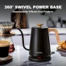 Превью Gooseneck Electric Kettle with Thermometer — Electric Kettle, Nueve&Five