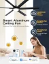 Превью 65 Inch Ultra-thin Smart Ceiling Fan with WiFi Alexa APP Remote Control, Whole Aluminum DC Motor and Blades, 6 Speed,... — Smart Fan, ECOiTEL