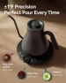 Превью Gooseneck Electric Kettle with Temperature Control — Electric Kettle, INTASTING