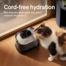Превью Cordless Cat Water Fountain — Cat Water Fountain, PETLIBRO