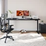 Превью Dual Motor Standing Desk — Standing Desk, FitStand