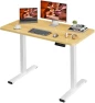 Превью Dual Motor Standing Desk — Standing Desk, FitStand