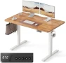Превью Electric Standing Desk, 48 x 24 Inches Height Adjustable Stand up Desk — Standing Desk, FEZIBO