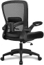 Превью Ergonomic Mesh Office Chair with Adjustable Lumbar Support and Flip-up Armrests — Smart Chairs, FelixKing
