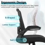 Превью Ergonomic Mesh Office Chair with Adjustable Lumbar Support and Flip-up Armrests — Smart Chairs, FelixKing