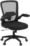 Превью Ergonomic Mesh Office Chair with Adjustable Lumbar Support and Flip-up Armrests — Smart Chairs, FelixKing