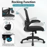 Превью Ergonomic Mesh Office Chair with Adjustable Lumbar Support and Flip-up Armrests — Smart Chairs, FelixKing
