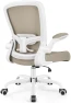 Превью Ergonomic Mesh Office Chair with Adjustable Lumbar Support and Flip-up Armrests — Smart Chairs, FelixKing