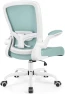 Превью Ergonomic Mesh Office Chair with Adjustable Lumbar Support and Flip-up Armrests — Smart Chairs, FelixKing